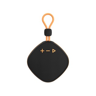 Outdoor Subwoofer Portable Speaker 