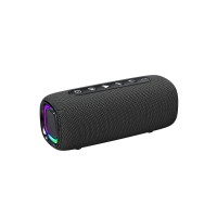 Dual Channel Subwoofer Outdoor Speaker 
