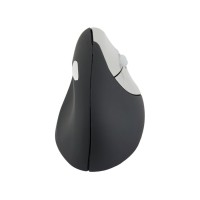 Bluetooth Ergonomic Wireless Mouse