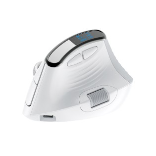 Wireless Rechargeable Ergonomic Mouse