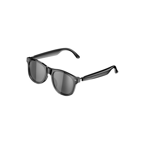 Voice Controlled Smart Glasses